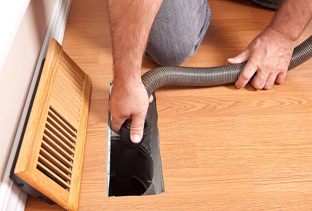 Air Duct Mold Removal in Ashley, PA